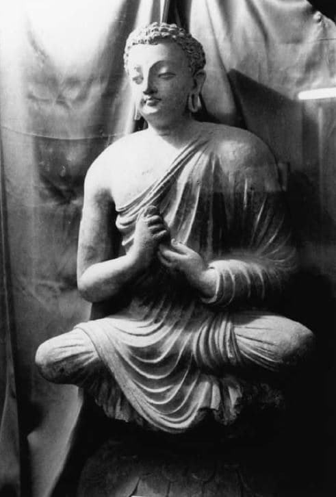 Figure in Stucco: Head of Buddha, Tapa Kalān, Hadda