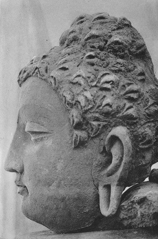 Figure in Stucco: Head of Buddha, Tapa Kalān, Hadda