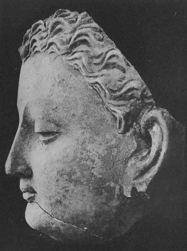 Head of Buddha