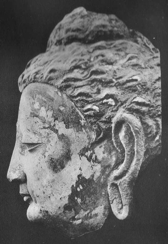 Figure in Stucco: Head of Buddha, Tapa Kalān, Hadda