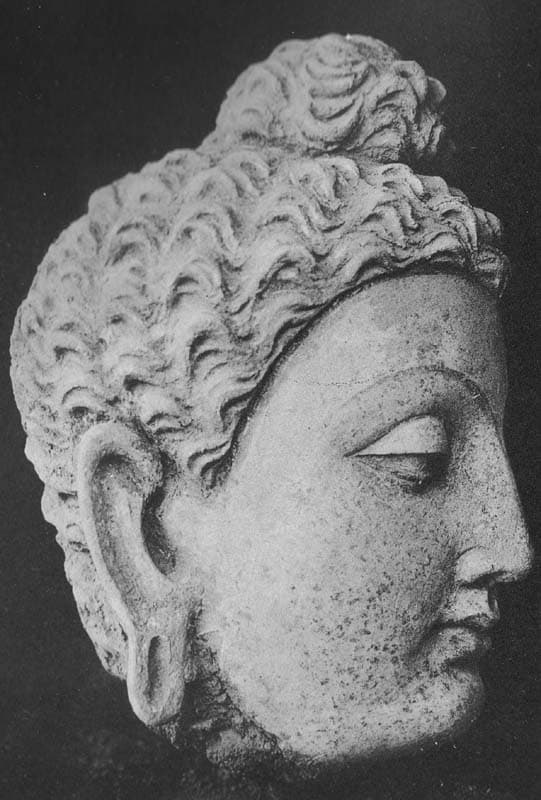 Figure in Stucco: Head of Buddha, Tapa Kalān, Hadda