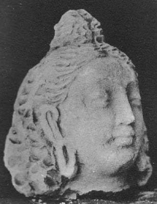 Head of god Brahma or a young brahman