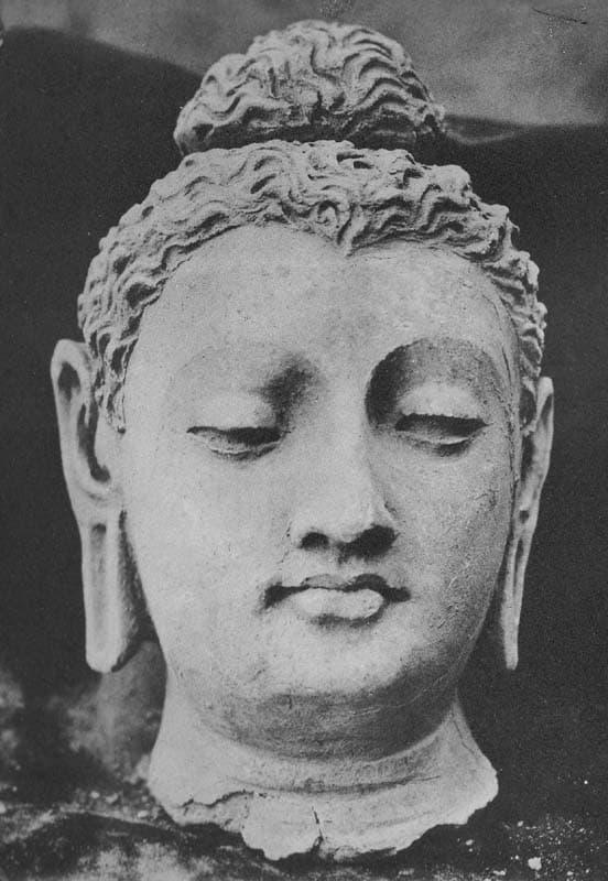 Head of Buddha