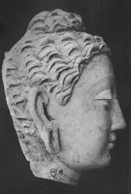 Figure in Stucco: Head of Buddha, Tapa Kalān, Hadda