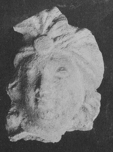 Figure in Stucco: Head of god Indra or a Bodhisattva, Tapa Kalān, Hadda
