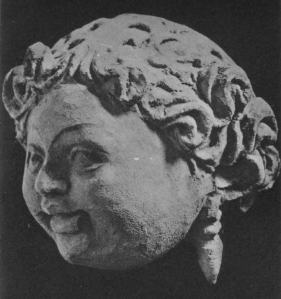 Head of a young Donor