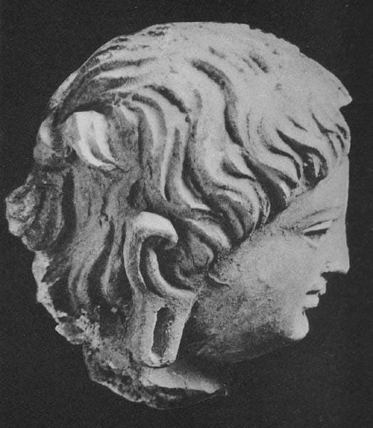Head of a young Donor