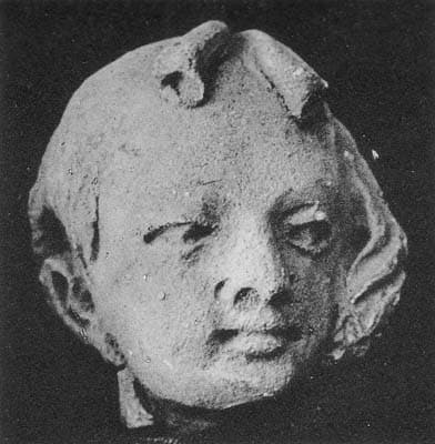 Head of a young Donor / or female Donor