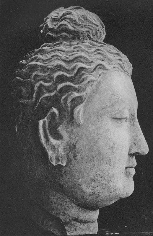 Figure in Stucco: Head of Buddha, Tapa Kalān, Hadda