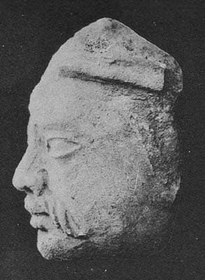 Head of Donor
