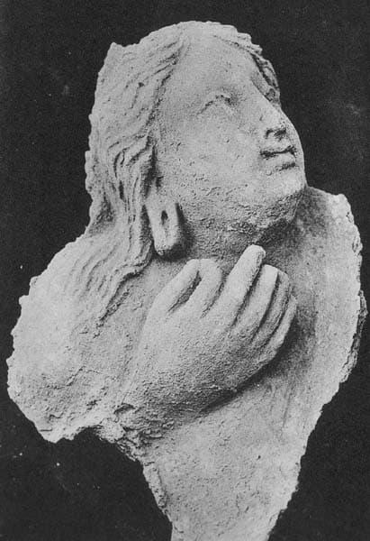 Head of god Brahma or a young brahman