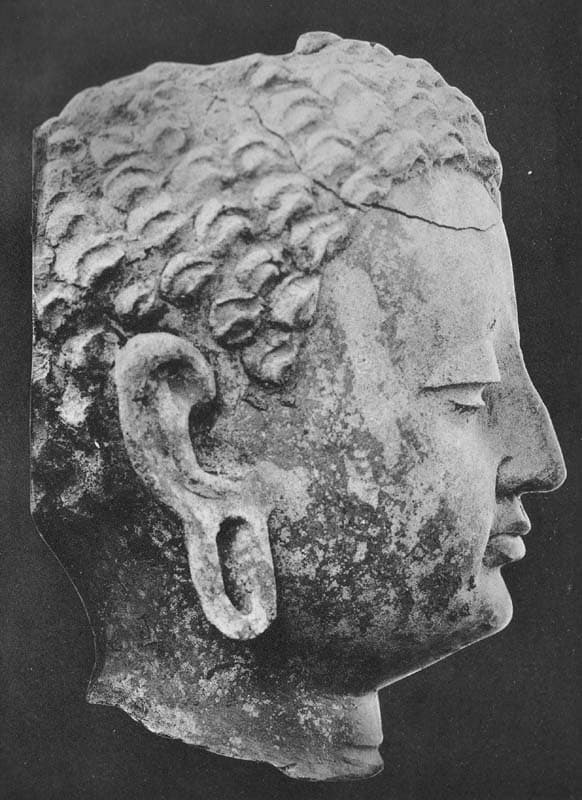 Figure in Stucco: Head of Buddha, Tapa Kalān, Hadda