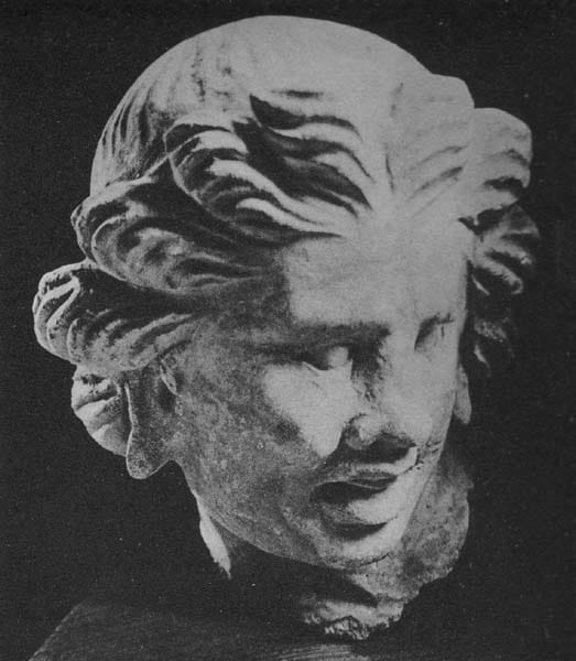 Head of Warrior