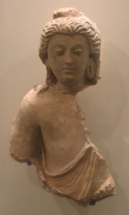 Brahma or young brahman