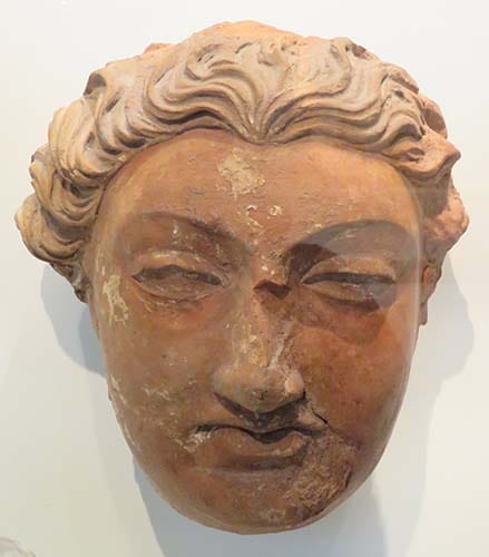 Head of Donor