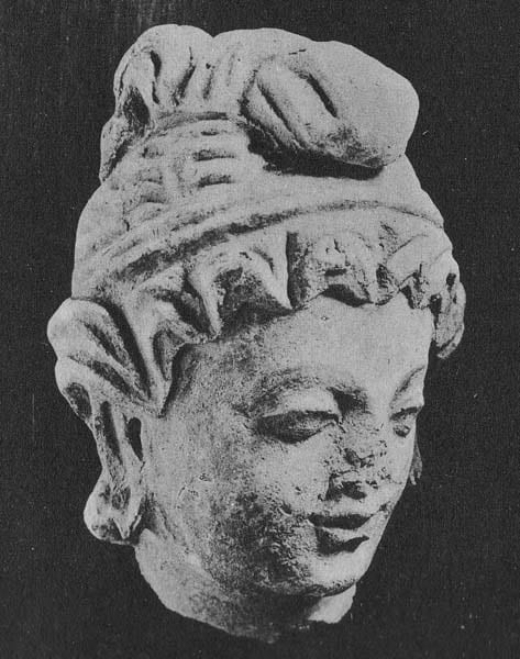 Head of female Donor