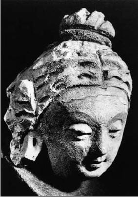 Head of female Donor