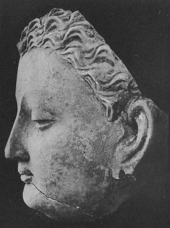 Head of Buddha