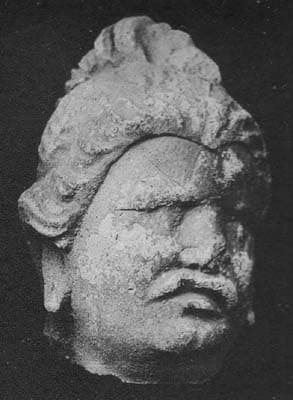 Tête de brahmane