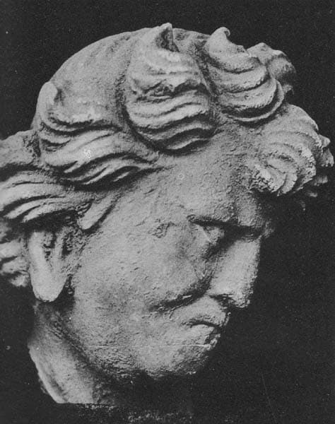 Head of Warrior