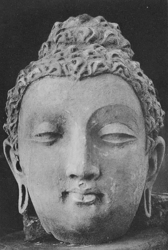 Figure in Stucco: Head of Buddha, Tapa Kalān, Hadda
