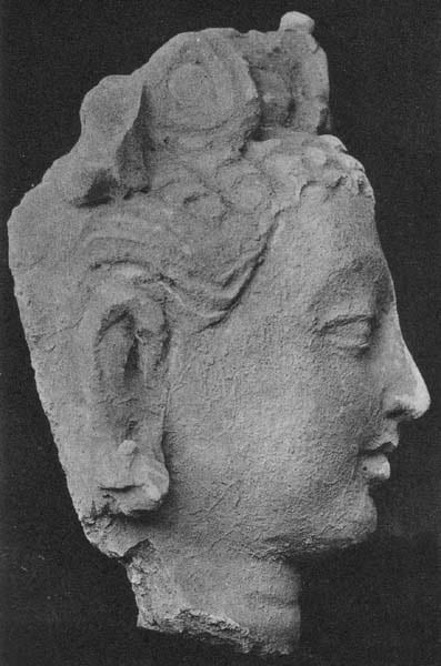 Figure in Stucco: Head of Bodhisattva, Tapa Kalān, Hadda