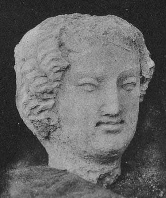 Head of a young donor