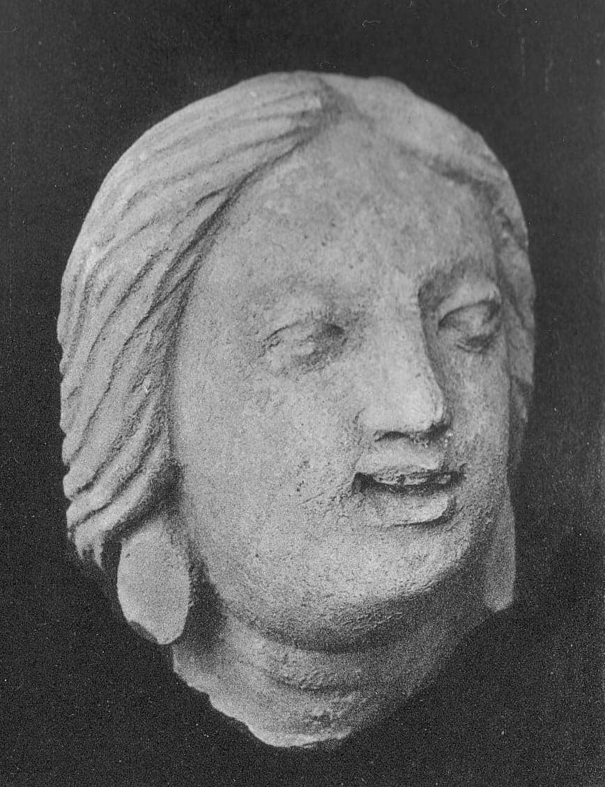 Head of a female donor